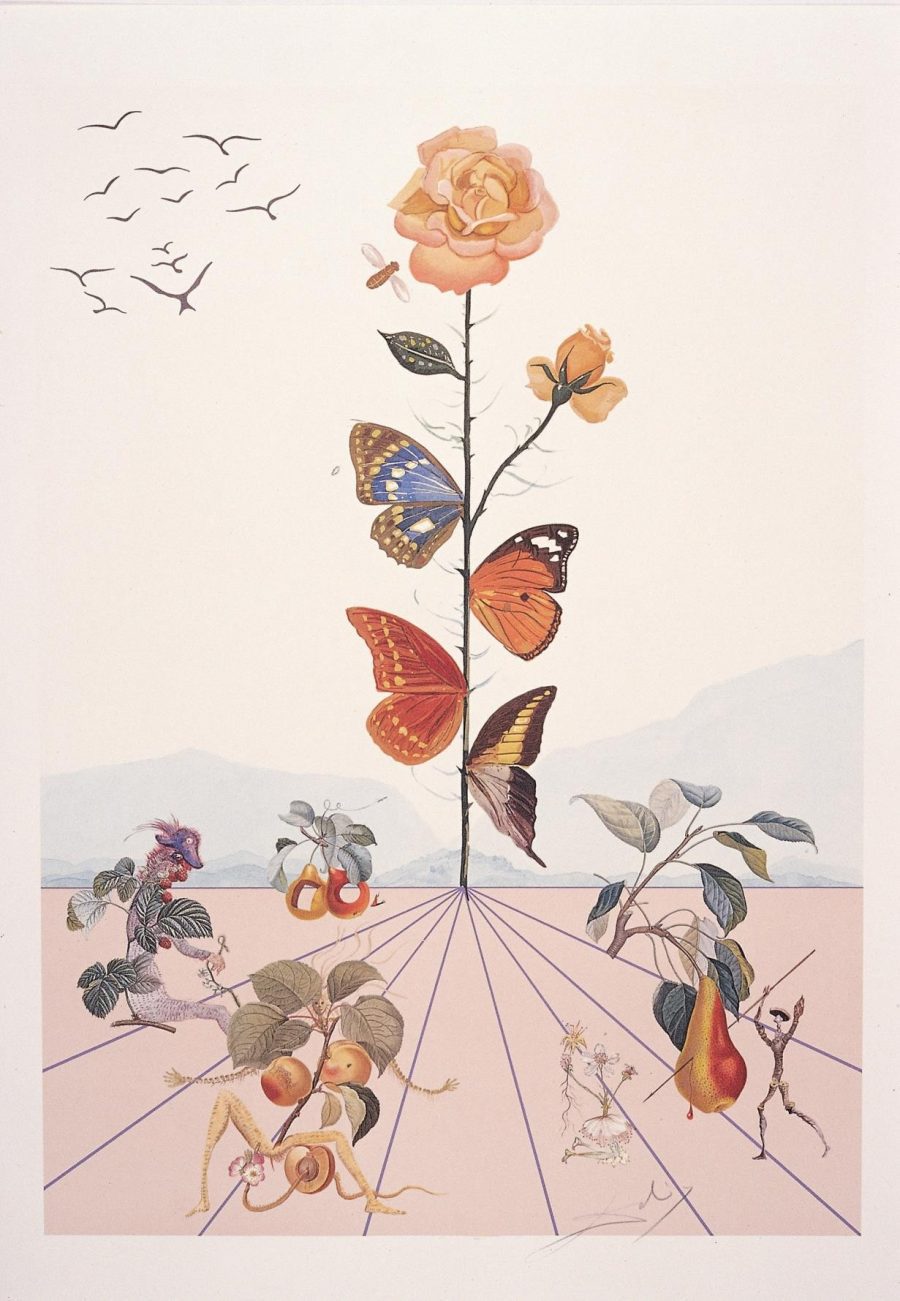 Flordali II,1981