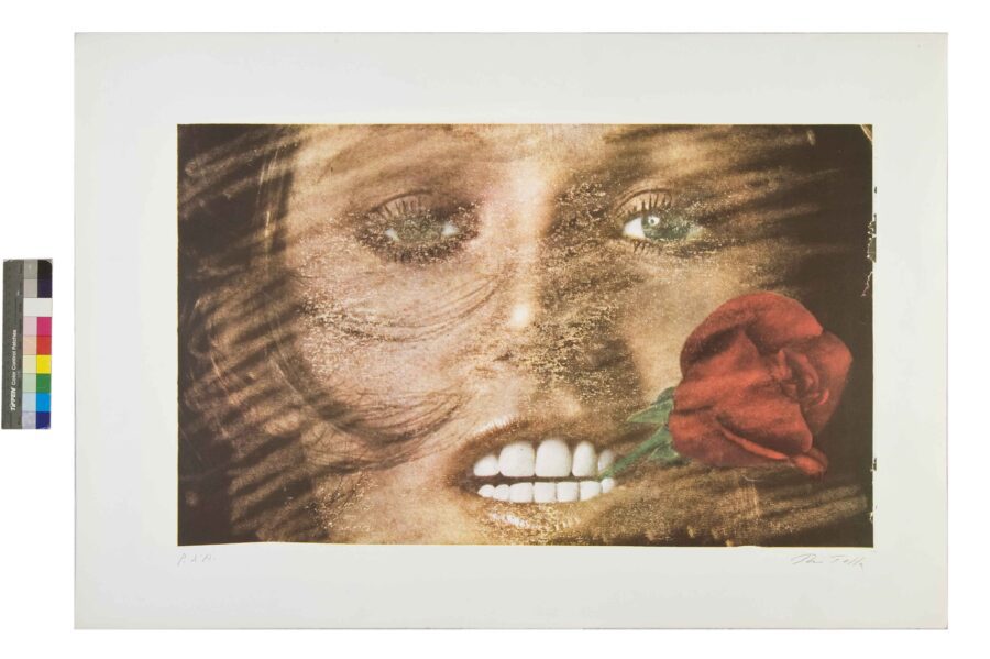 Sorriso con rosa