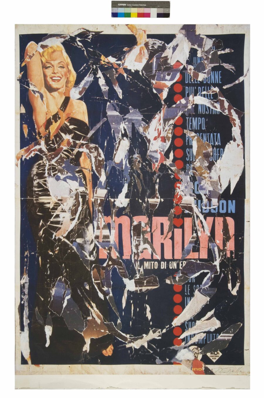 Marilyn rosa x