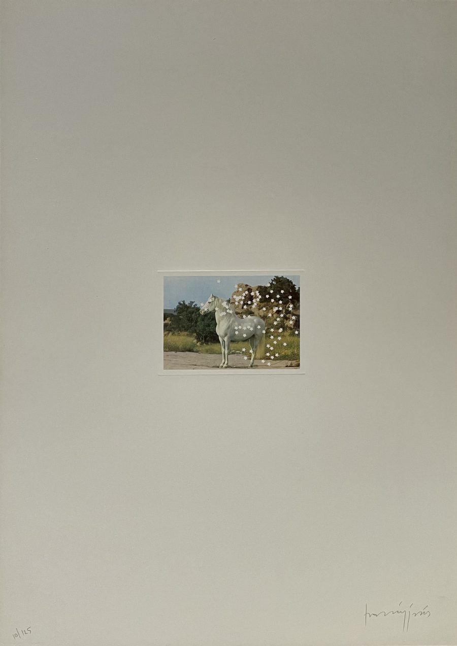 Folder - Claudio Parmiggiani - Image 8