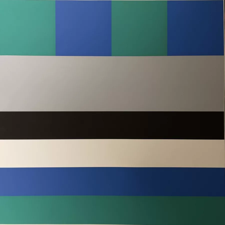Camille graeser Kuhle relation/ konversion